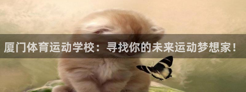 三亿体育网页版：厦门体育运动学校：寻找你的未来运动梦想家！