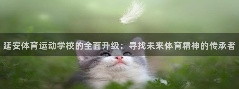 三亿体育：延安体育运动学校的全面升级：寻找未来体育精神的传承者