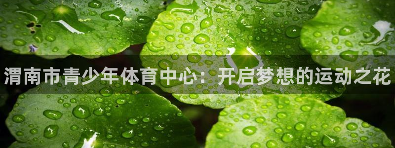 三亿体育：渭南市青少年体育中心：开启梦想的运动之花