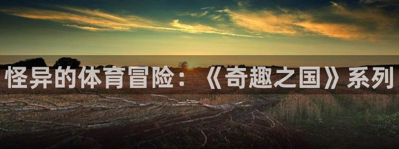 三亿体育网页版