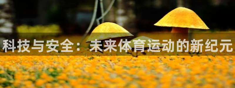 三亿体育