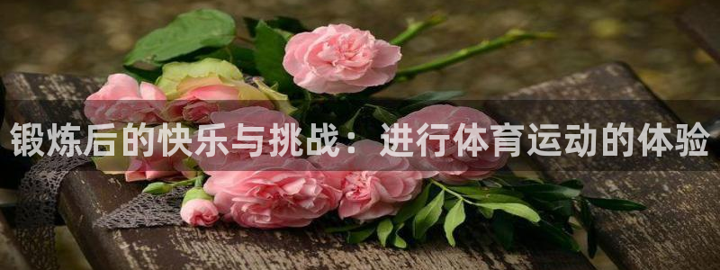 三亿体育网