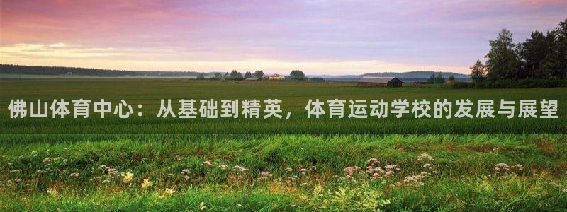 三亿体育登录：佛山体育中心：从基础到精英，体育运动学校的发展与展望