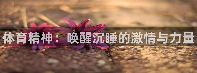 三亿体育登录：体育精神：唤醒沉睡的激情与力量