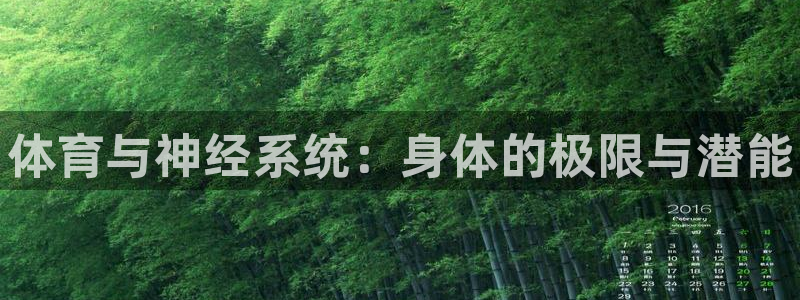 三亿体育登录：体育与神经系统：身体的极限与潜能