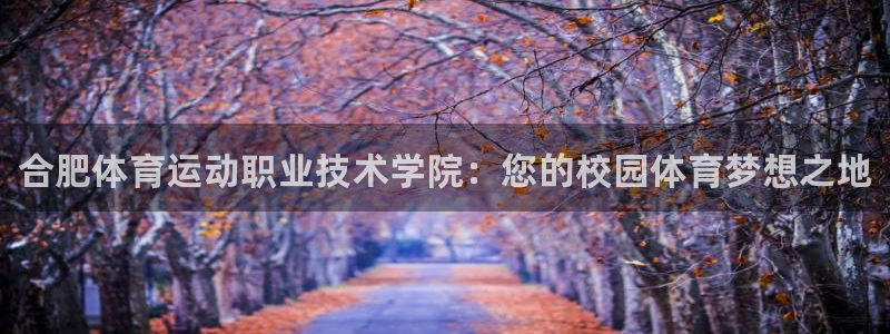 三亿体育网：合肥体育运动职业技术学院：您的校园体育梦想之地