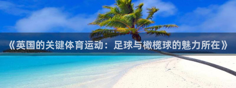 三亿体育：《英国的关键体育运动：足球与橄榄球的魅力所在》