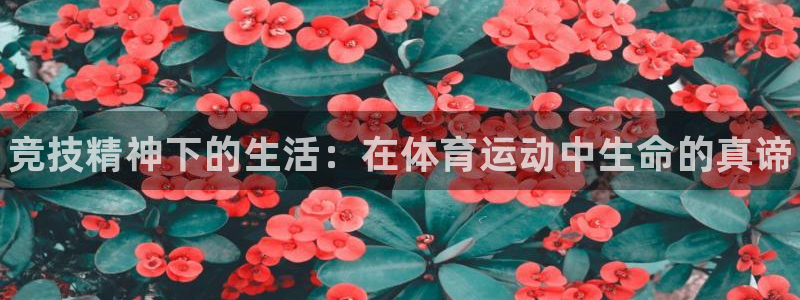 三亿体育登录：竞技精神下的生活：在体育运动中生命的真谛