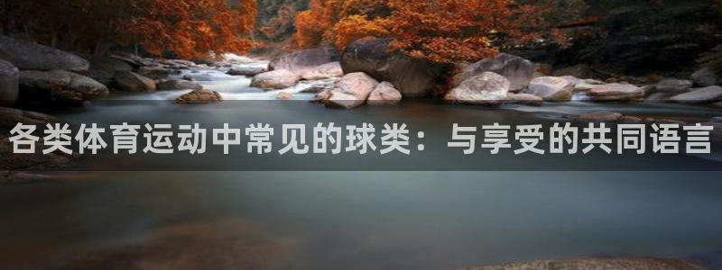 三亿体育登录：各类体育运动中常见的球类：与享受的共同语言