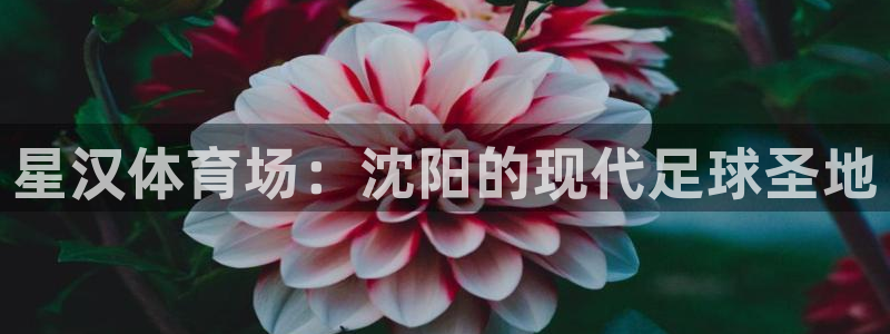 三亿体育网：星汉体育场：沈阳的现代足球圣地