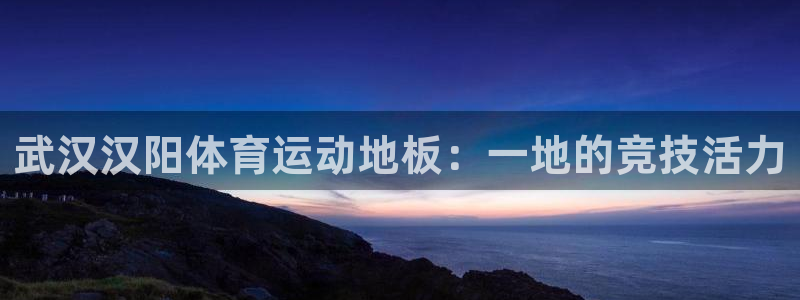 三亿体育网页版：武汉汉阳体育运动地板：一地的竞技活力