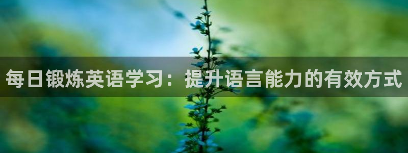 三亿体育网：每日锻炼英语学习：提升语言能力的有效方式