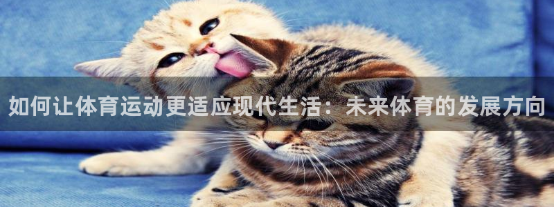 三亿体育：如何让体育运动更适应现代生活：未来体育的发展方向