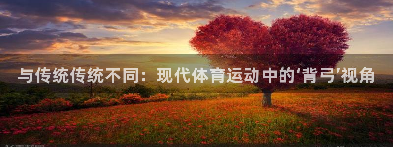 三亿体育网：与传统传统不同：现代体育运动中的‘背弓’视角