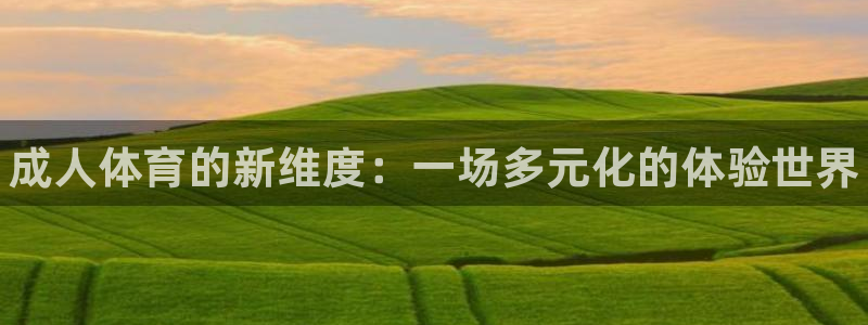 三亿体育登录：成人体育的新维度：一场多元化的体验世界
