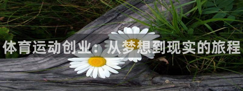 三亿体育登录：体育运动创业：从梦想到现实的旅程