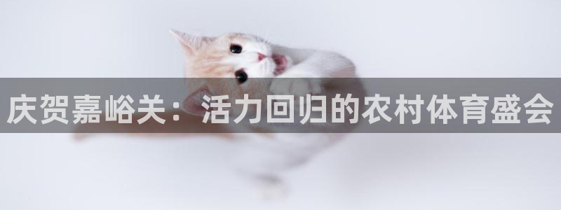 三亿体育网页版：庆贺嘉峪关：活力回归的农村体育盛会