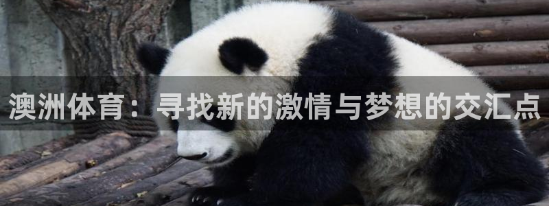 三亿体育网：澳洲体育：寻找新的激情与梦想的交汇点