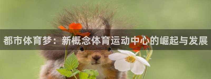 三亿体育网：都市体育梦：新概念体育运动中心的崛起与发展