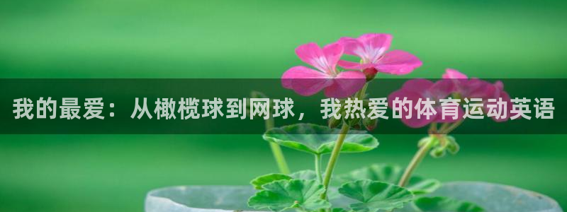 三亿体育网页版：我的最爱：从橄榄球到网球，我热爱的体育运动英语