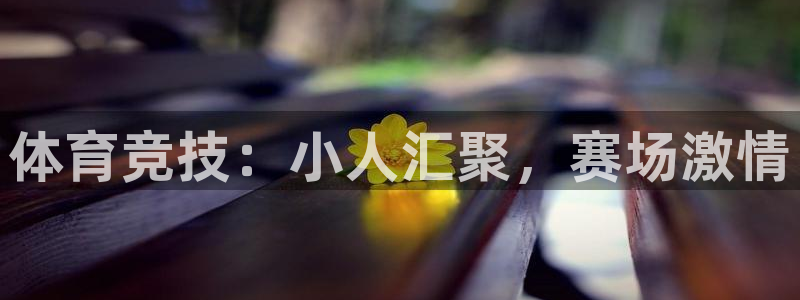 三亿体育