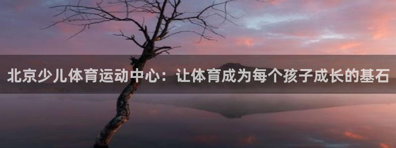 三亿体育网页版