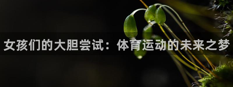 三亿体育登录