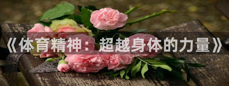 三亿体育登录