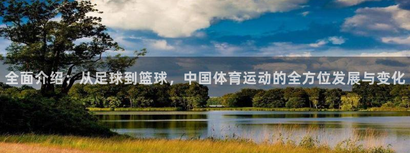 三亿体育