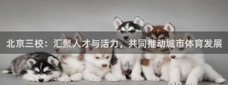 三亿体育网