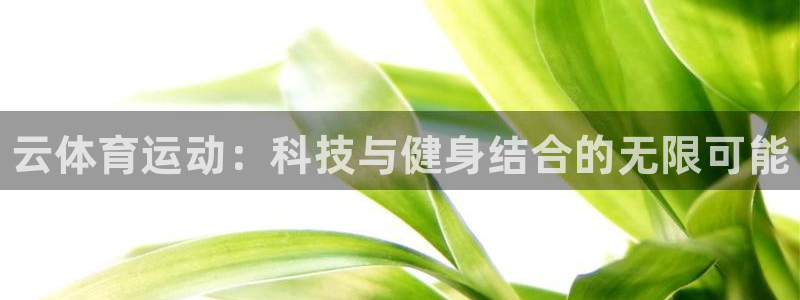 三亿体育网页版