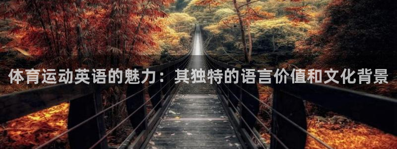 三亿体育网页版
