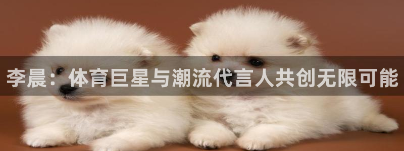 三亿体育网页版