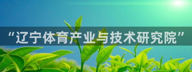 三亿体育网页版