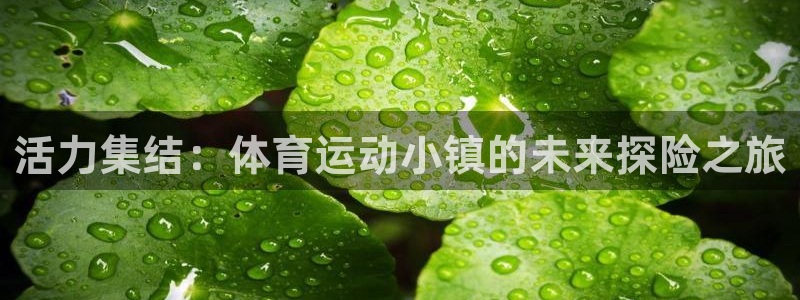 三亿体育：活力集结：体育运动小镇的未来探险之旅
