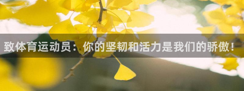 三亿体育网页版：致体育运动员：你的坚韧和活力是我们的骄傲！