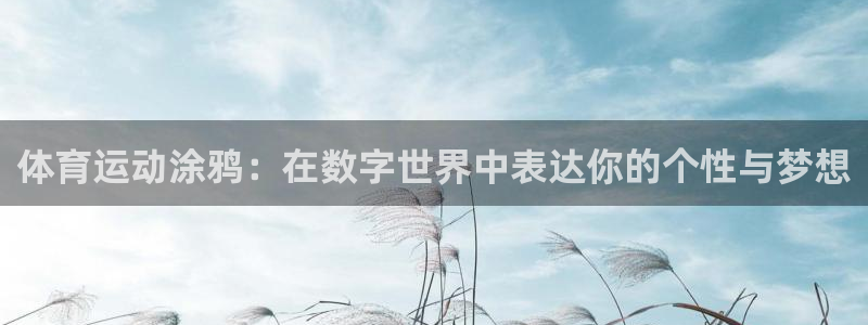 三亿体育登录：体育运动涂鸦：在数字世界中表达你的个性与梦想